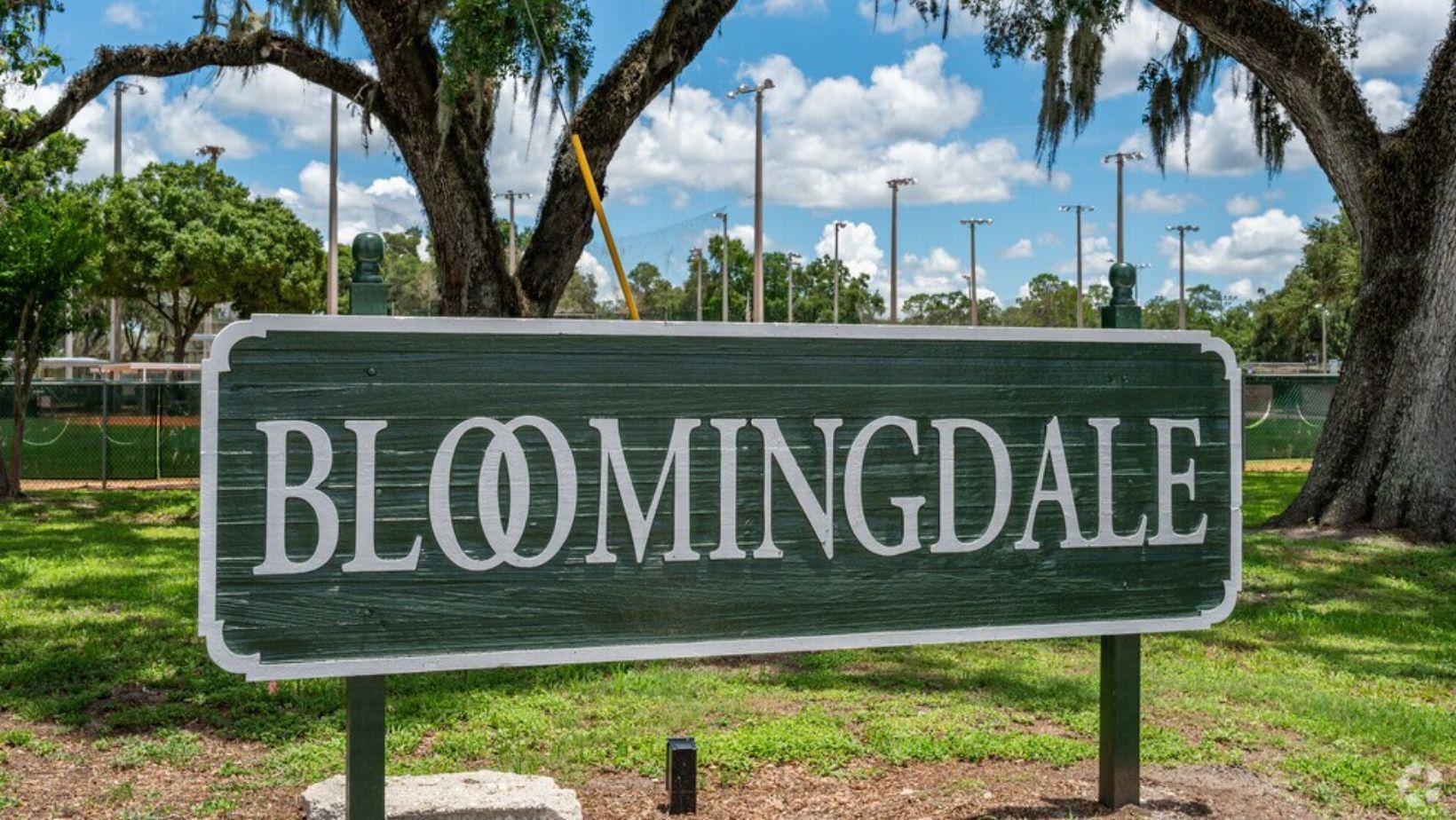 Plumber in Bloomingdale Estates FL