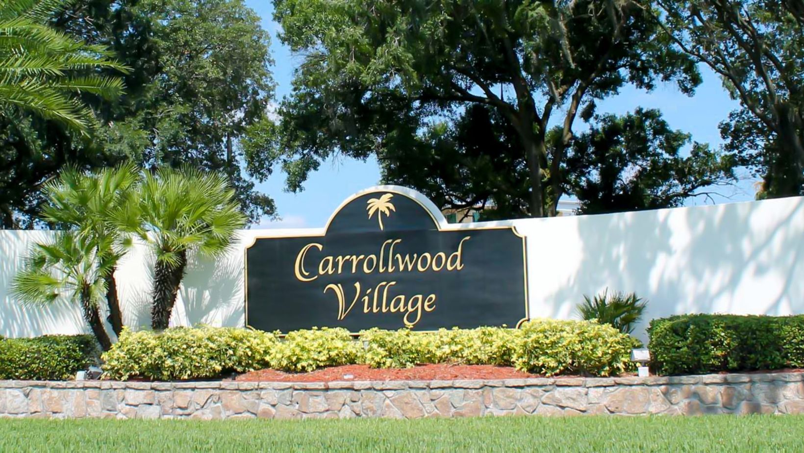 Plumbing Services in Carrollwood Village FL